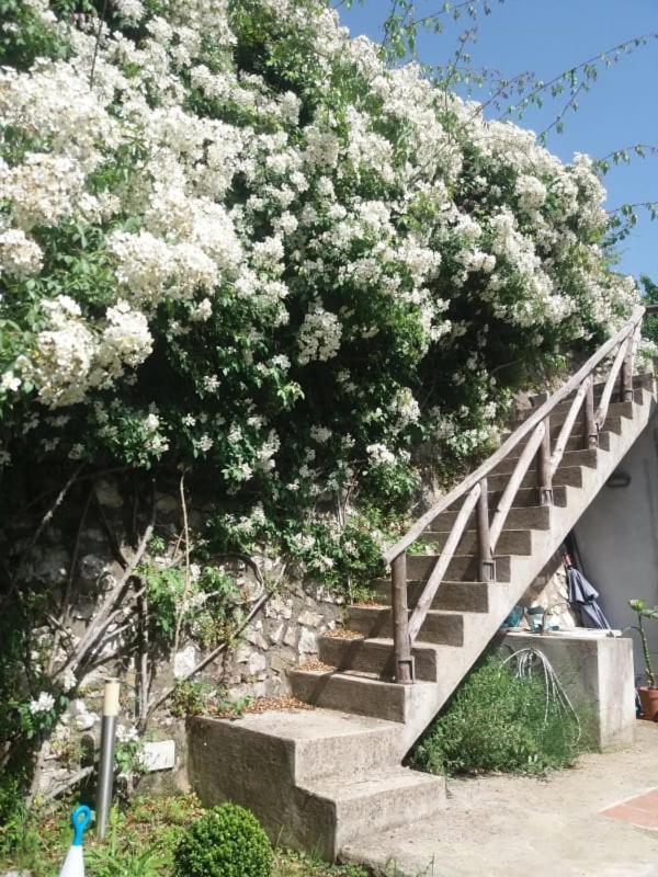トラモンティ Pietra Rosa Bed & Breakfast エクステリア 写真