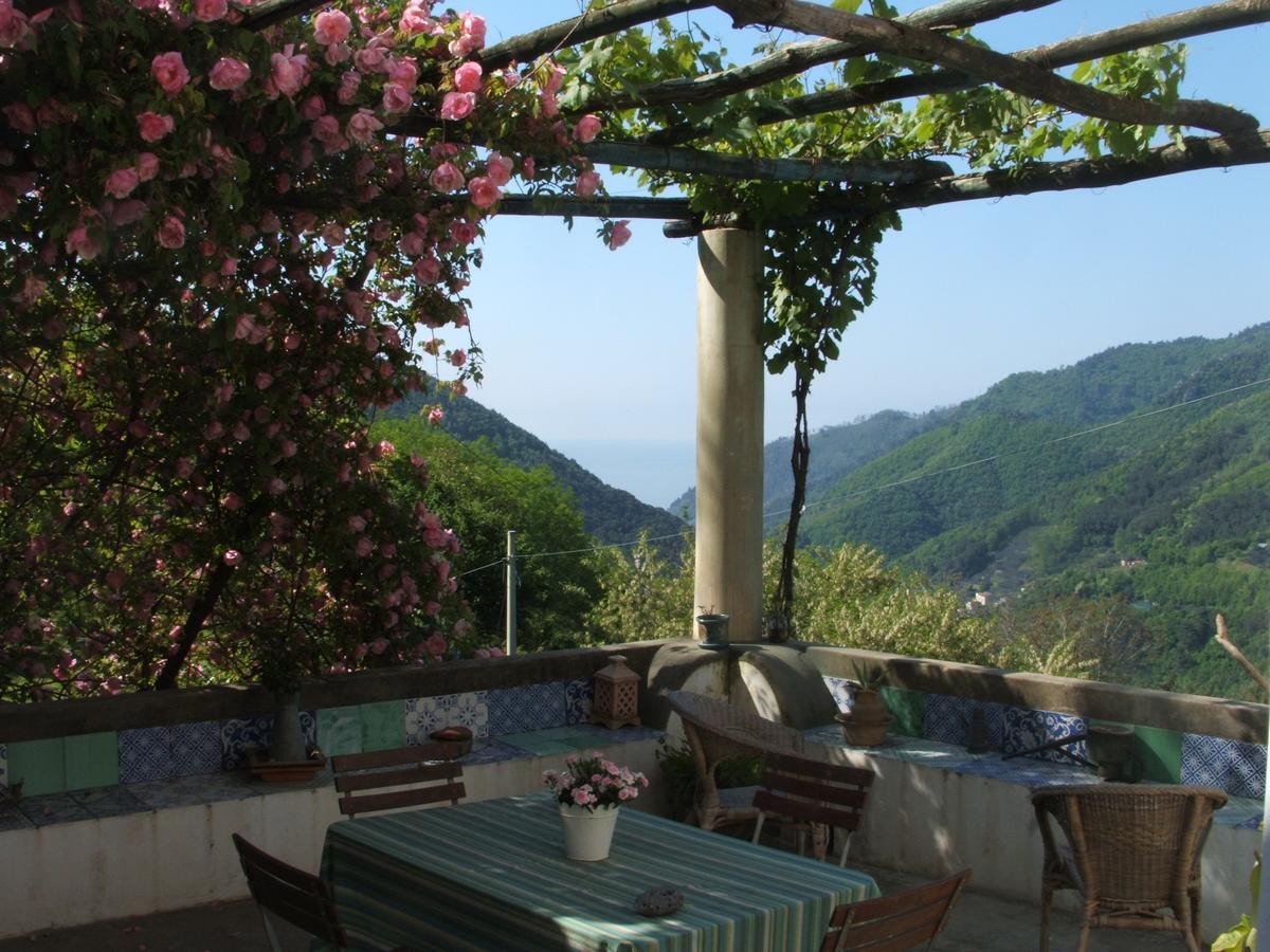 トラモンティ Pietra Rosa Bed & Breakfast エクステリア 写真